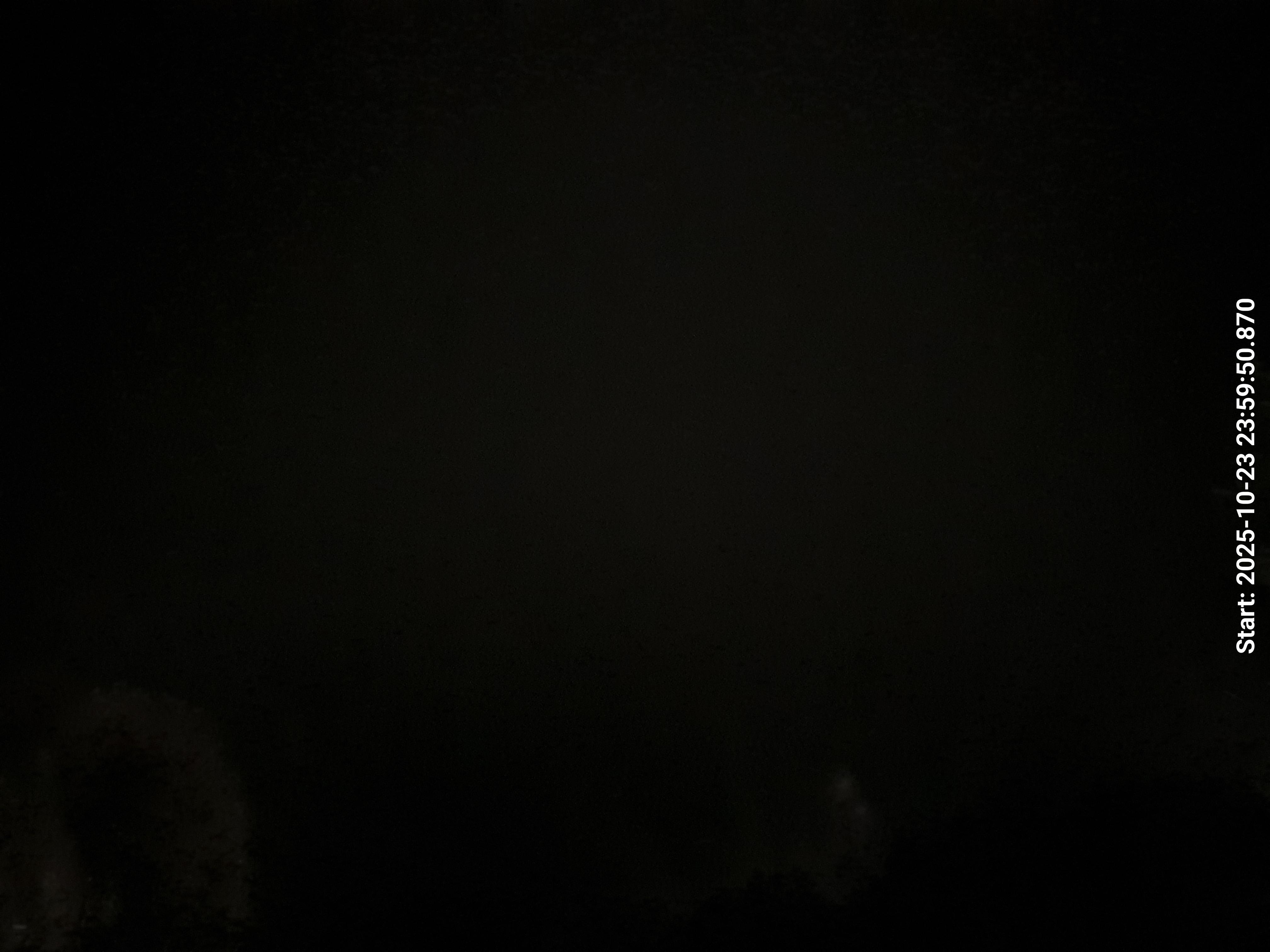 skyle_20251024_000000_lys8_star50_KP02_ISO1600_Lukker8.jpeg