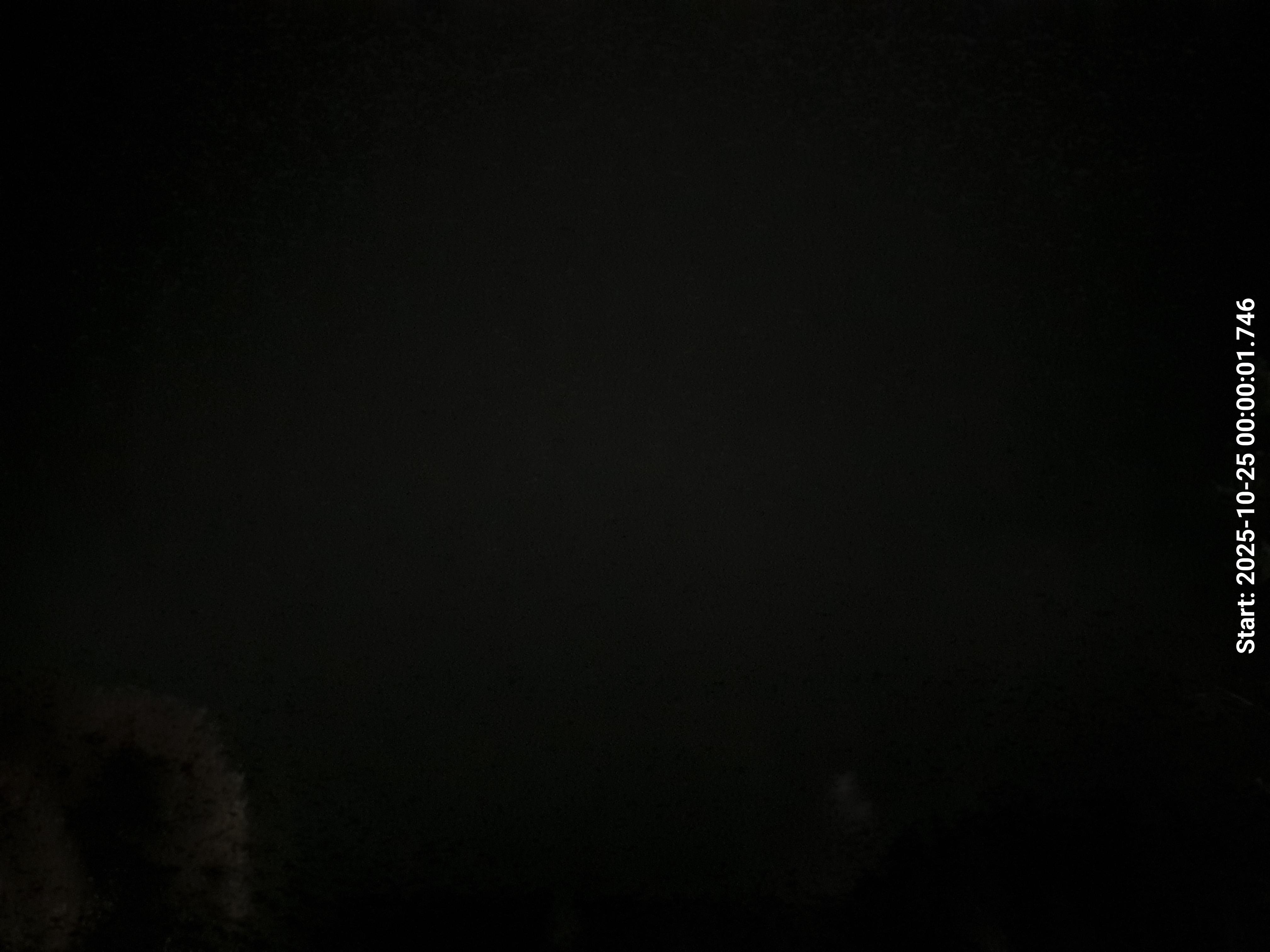skyle_20251025_000011_lys9_star50_KP00_ISO1600_Lukker8.jpeg