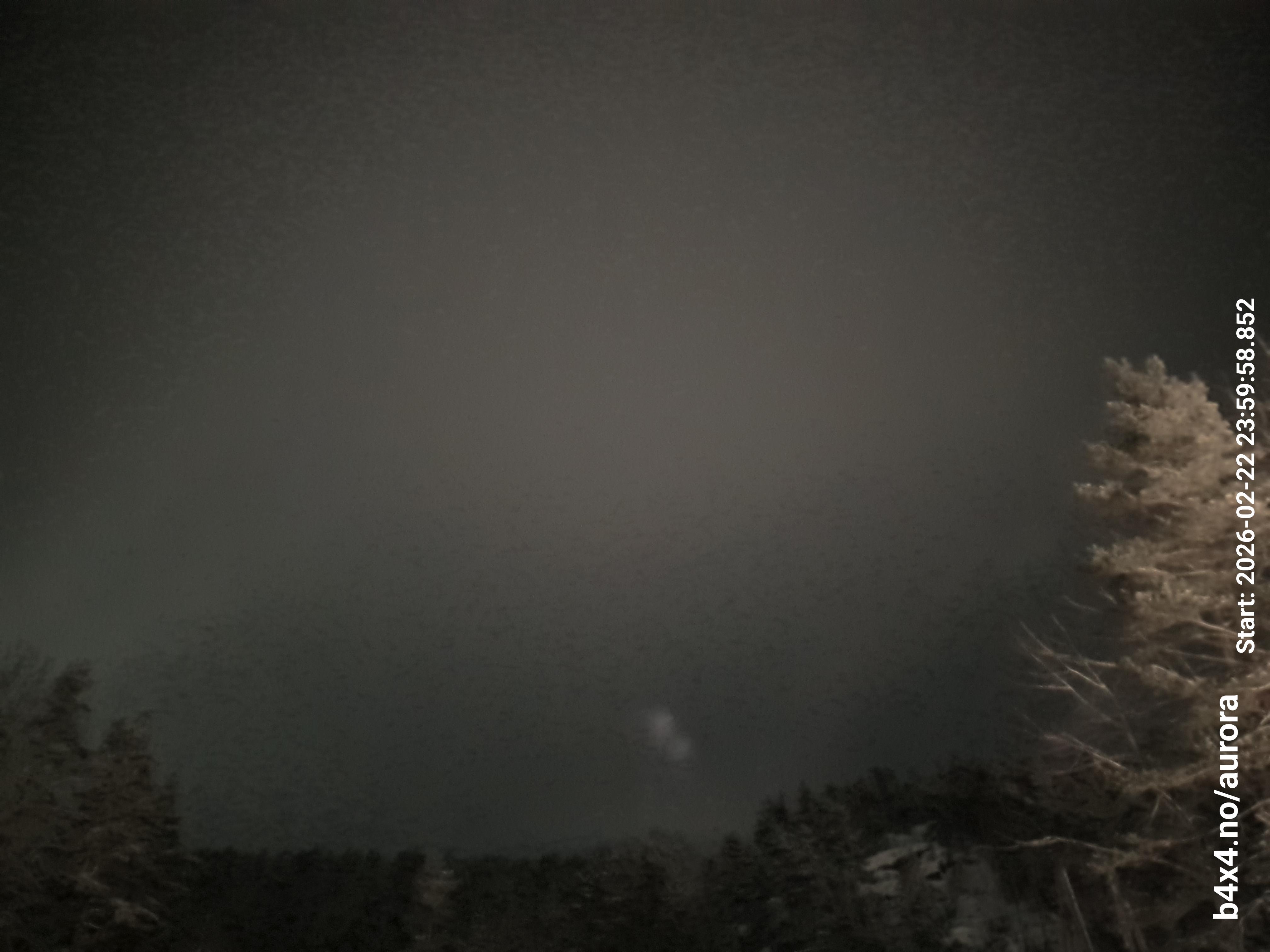 skyle_20260223_000008_lys55_star50_KP05_ISO1600_Lukker8.jpeg