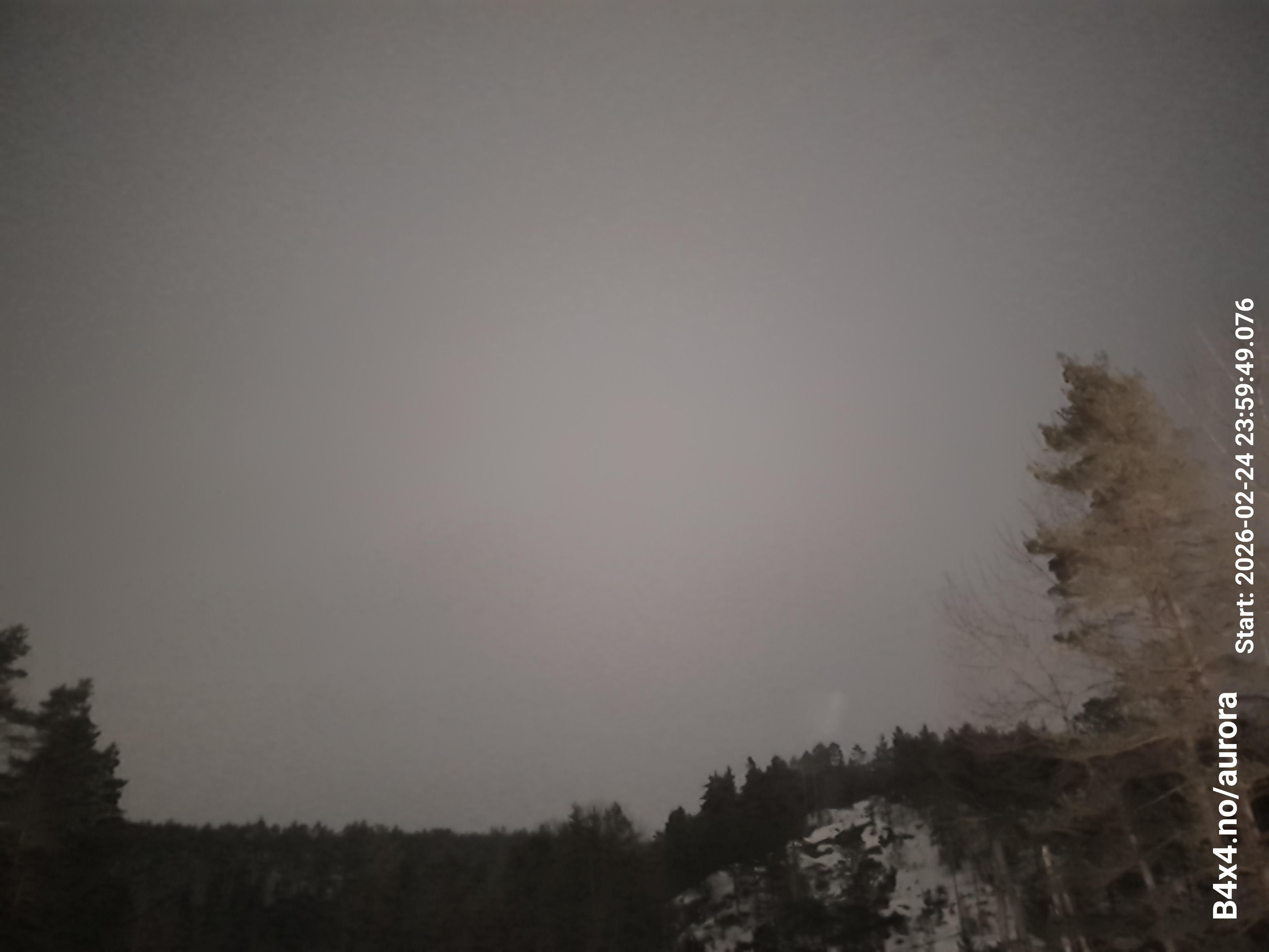 aurle_20260225_000005_lys100_star50_KP03_ISO1000_Lukker15.jpeg