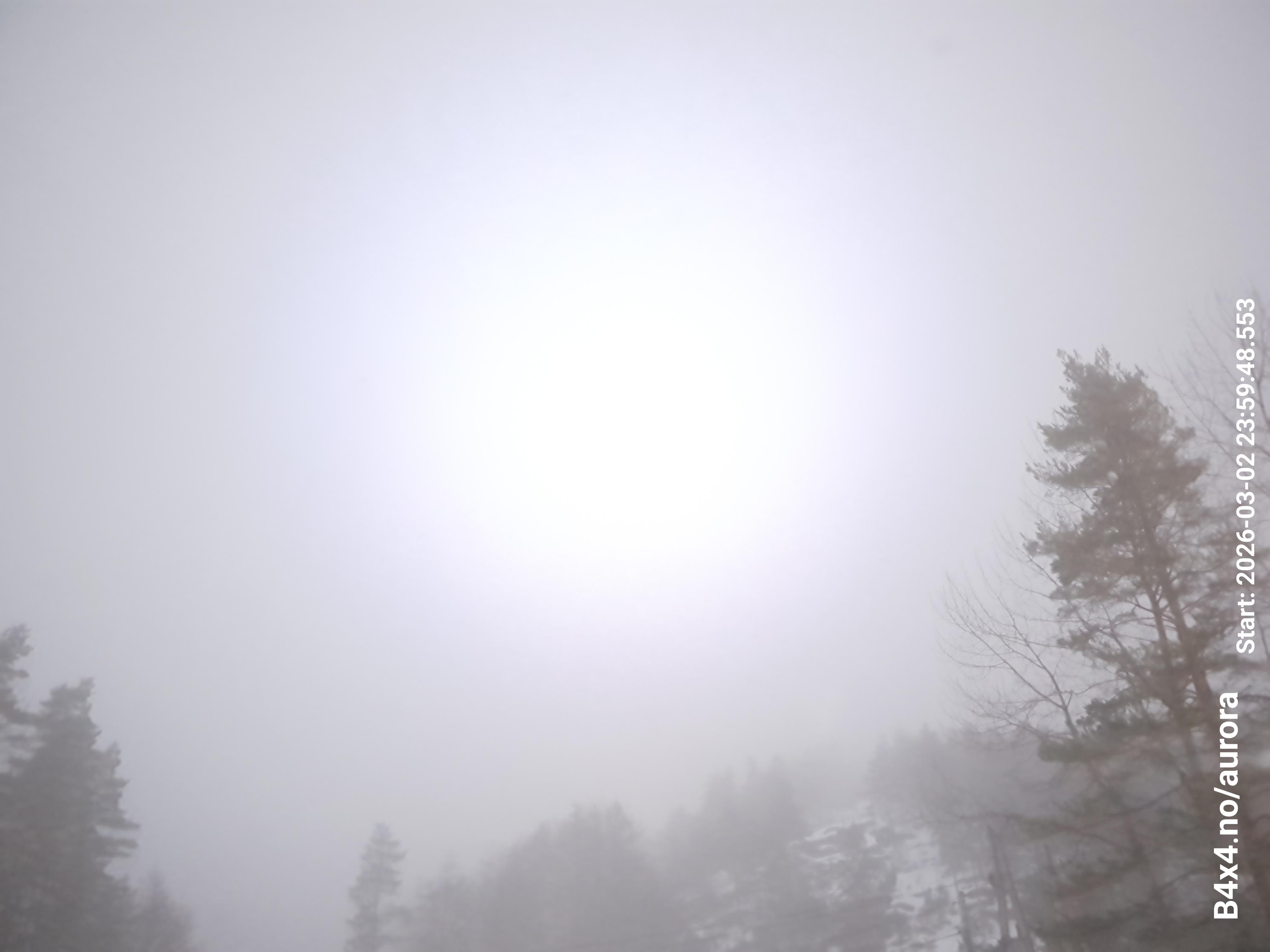 aurle_20260303_000004_lys202_star50_KP01_ISO1000_Lukker15.jpeg