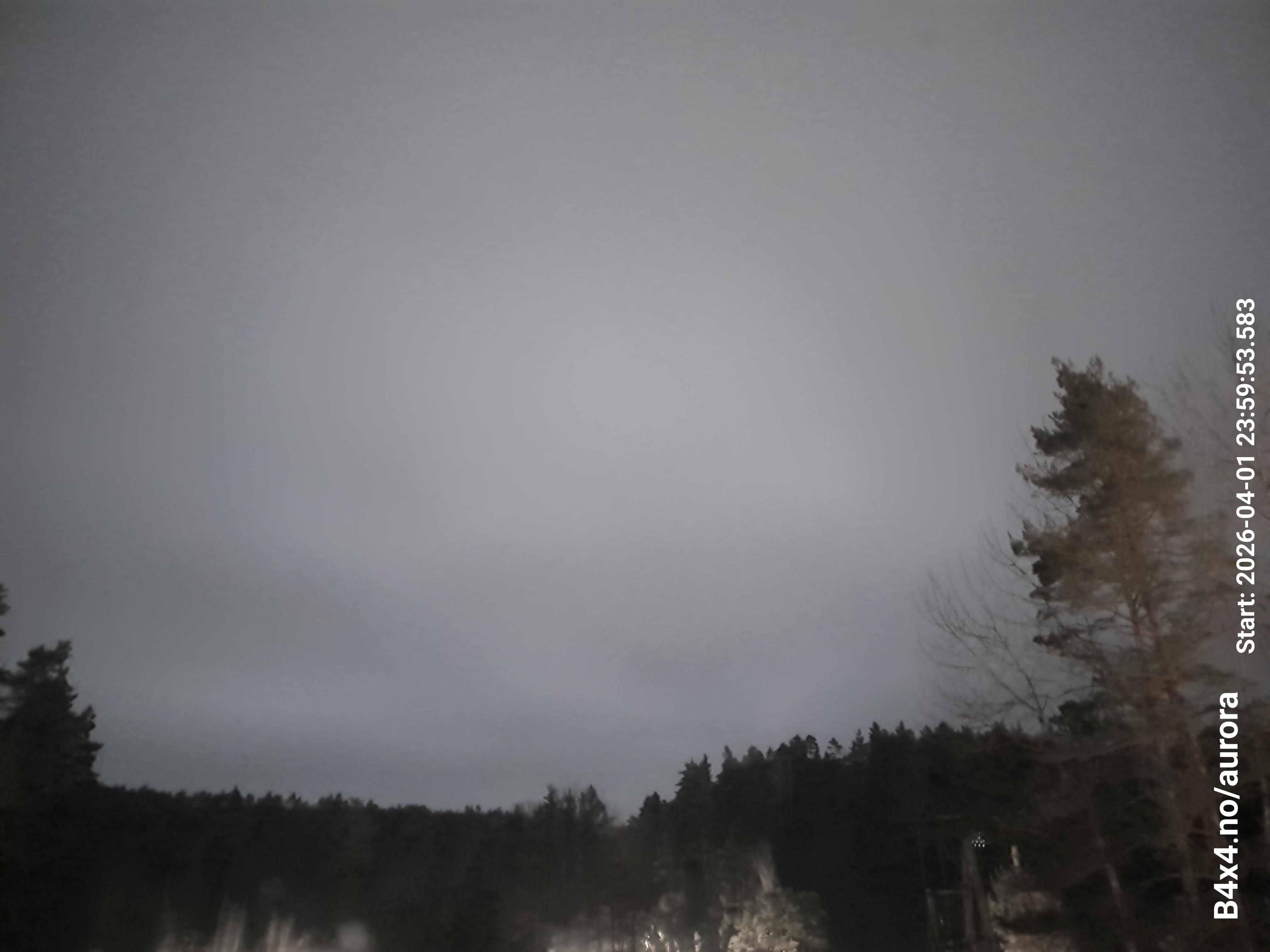 aurle_20260402_000009_lys109_star50_KP00_ISO1000_Lukker15.jpeg