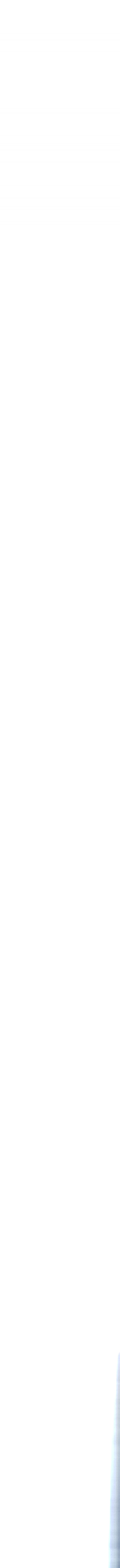 aur_vertical_stripe.png
