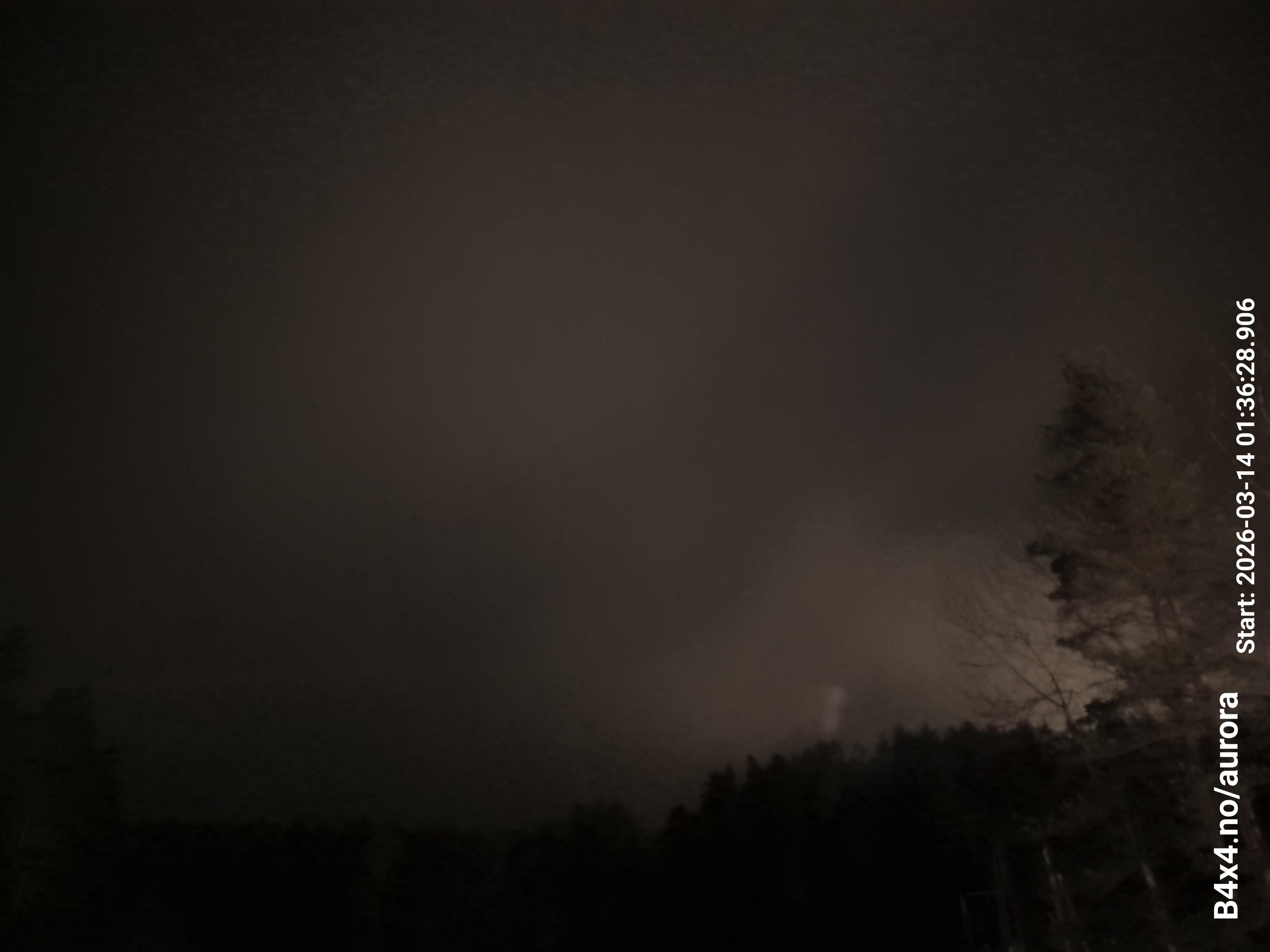 aurle_20260314_013645_lys33_star50_KPX_ISO1000_Lukker15.jpeg