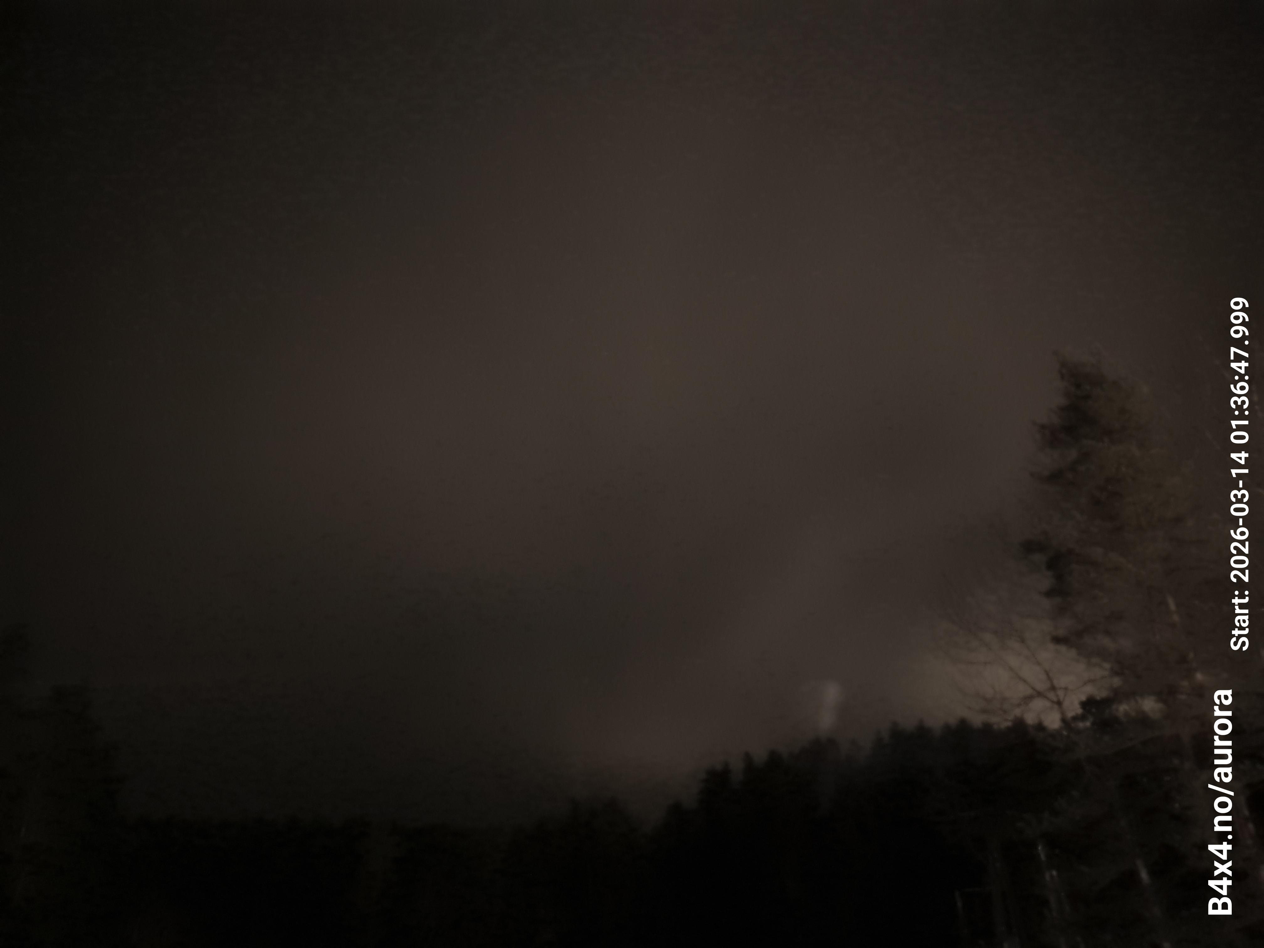 aurle_20260314_013704_lys34_star50_KPX_ISO1000_Lukker15.jpeg