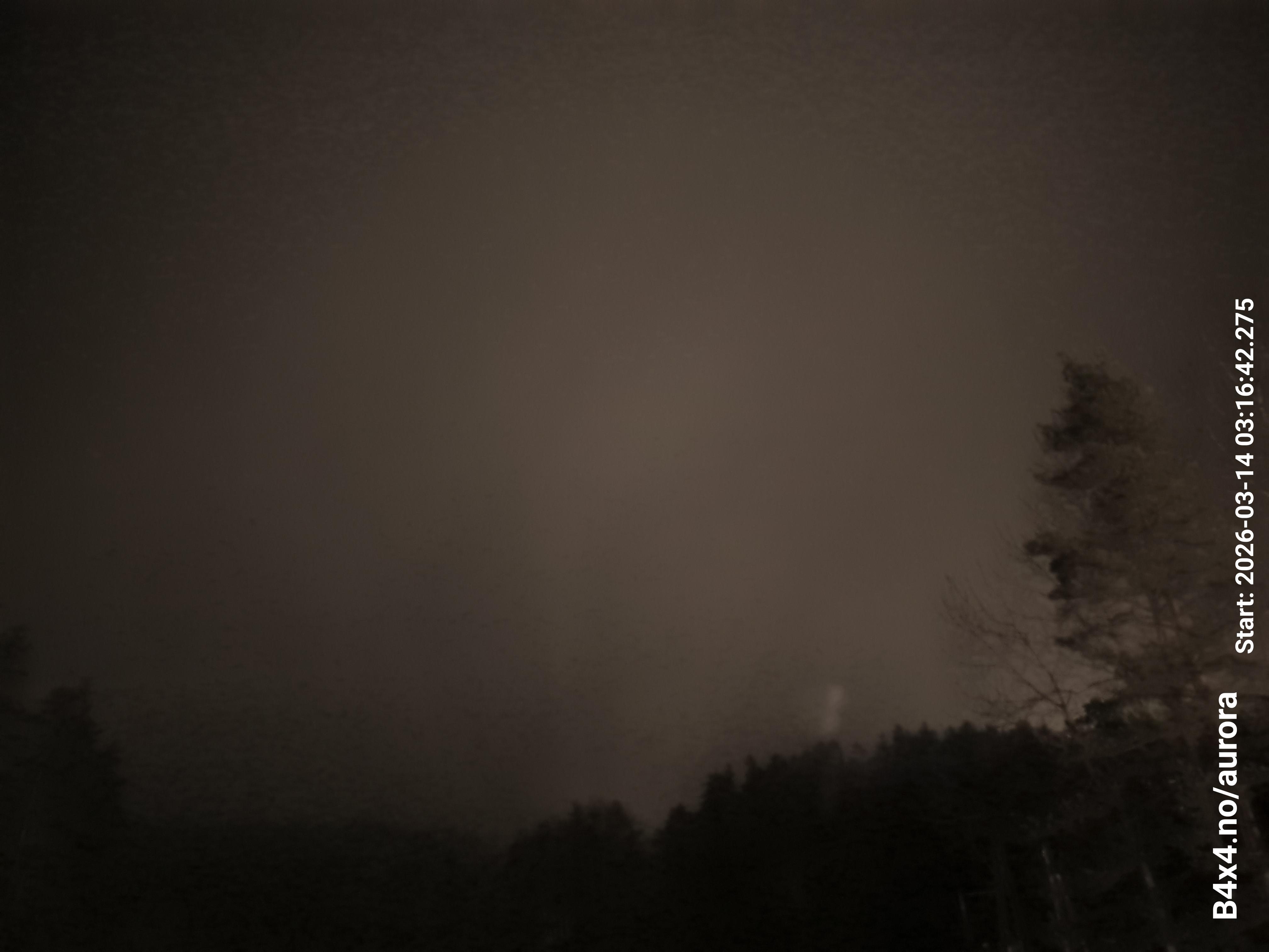 aurle_20260314_031658_lys45_star50_KP06_ISO1000_Lukker15.jpeg